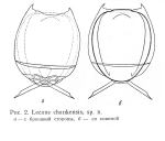 Lecane chankensis - Original description image