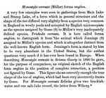 Lecane cornuta f. anglica - Original description image