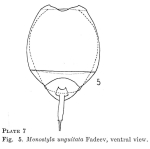 Lecane difficilis