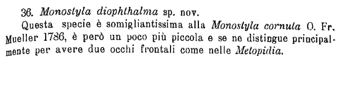 Lecane diophthalma - Original description image