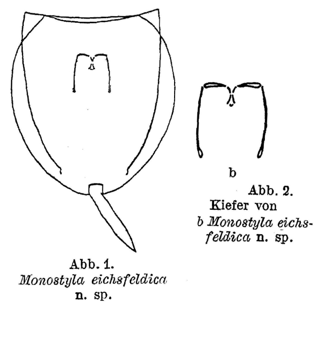 Lecane eichsfeldica - Original description image