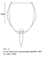 Lecane eupsammophila - Original description image