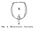 Lecane furcata