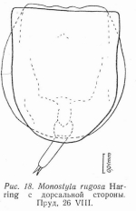 Lecane furcata