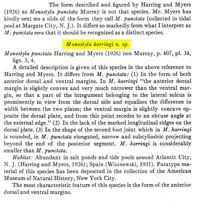 Lecane harringi - Original description image