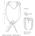 Lecane inermis