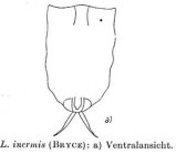 Lecane inermis