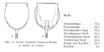 Lecane inopinata