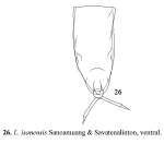 Lecane isanensis