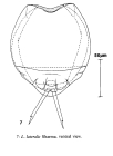 Lecane lateralis