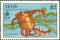 Crustacea (crustaceans)