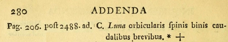 Lecane luna