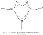 Lecane monostyla