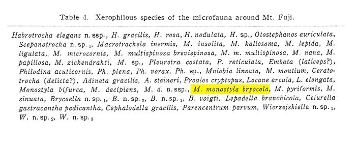 Lecane monostyla bryocola Lecane monostyla bryocola