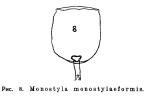 Lecane monostylaeformis