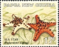 Echinodermata (echinoderms)