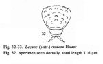 Lecane nodosa