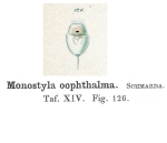 Lecane oophthalma - Original description image