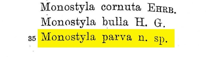 Lecane parva Lecane parva