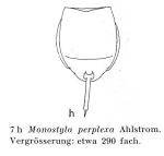 Lecane perplexa