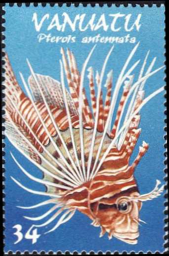 Pterois antennata