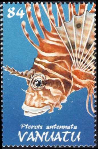 Pterois antennata