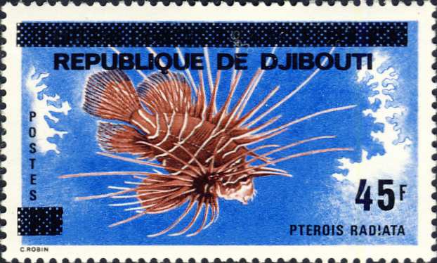 Pterois radiata