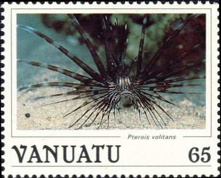 Pterois volitans