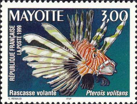 Pterois volitans