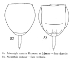 Lecane scutata