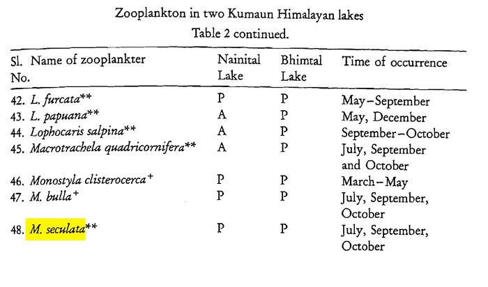 Lecane seculata - Original description image