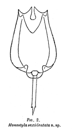 Lecane sexidentata - Original description image