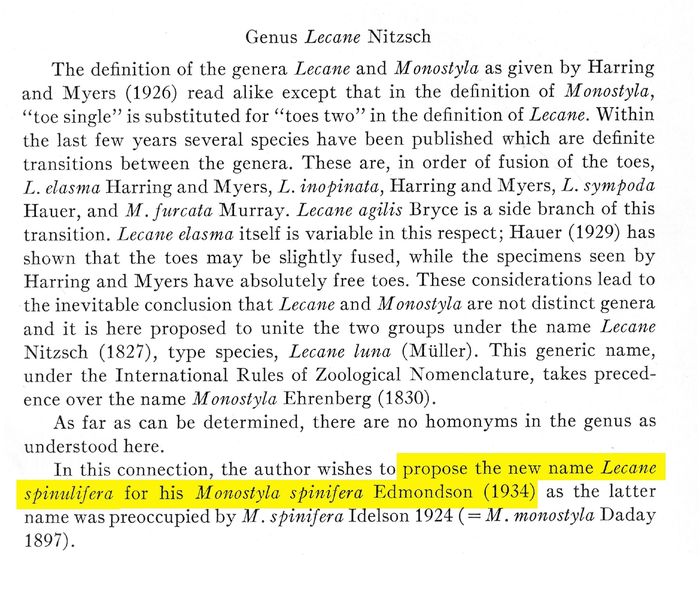 Lecane spinulifera - Original description image