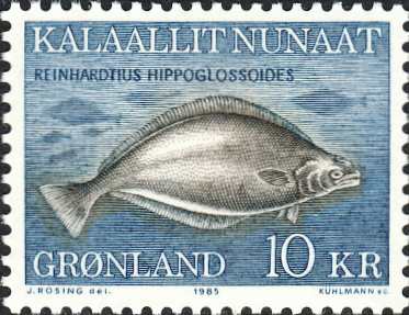 Reinhardtius hippoglossoides