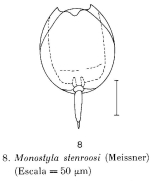 Lecane stenroosi