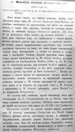 Lecane stenroosi - Original description image