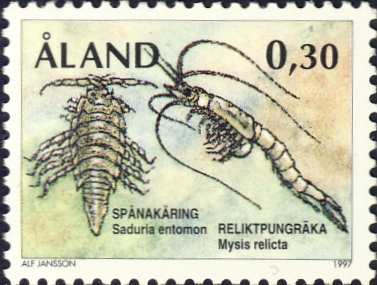 Mysis relicta & Saduria entomon Mysis relicta & Saduria entomon