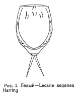 Lecane tenuiseta