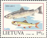 Salmoniformes