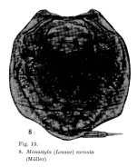Lecane unguitata