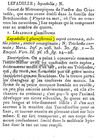 Lepadella glumiformis