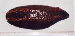 Cucumaria frondosa (Gunnerus, 1767) 