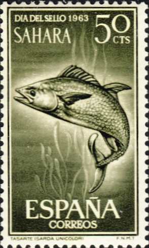 Sarda unicolor Sarda unicolor