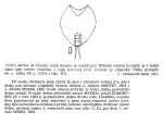 Lepadella minuscula