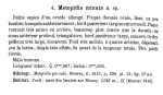 Lepadella minuta
