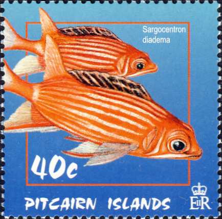 Sargocentron diadema Sargocentron diadema