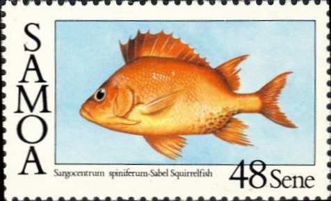 Sargocentron spiniferum Sargocentron spiniferum
