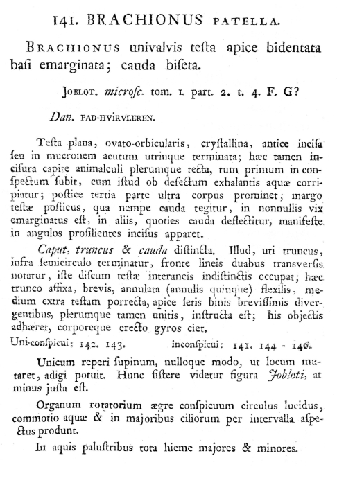 Lepadella patella - Original description image