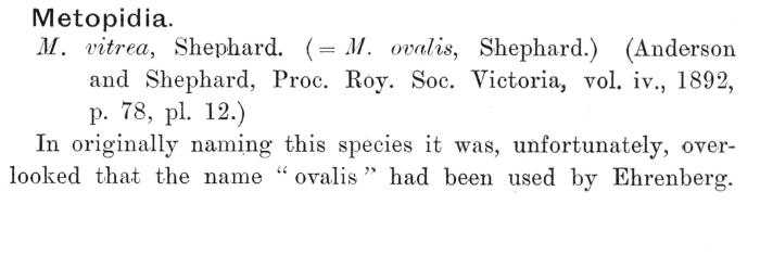 Lepadella vitrea - Original description image