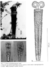 Limnias ceratophylli